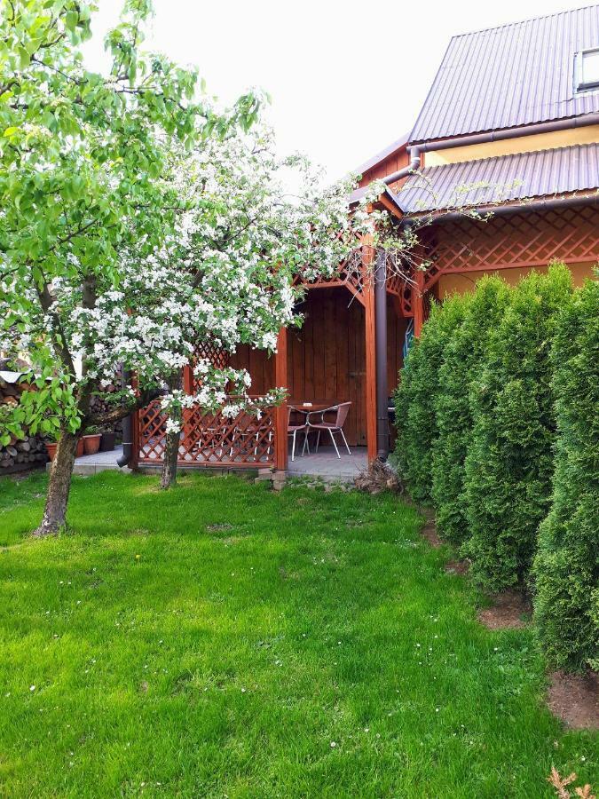 Homestay U Zosi *